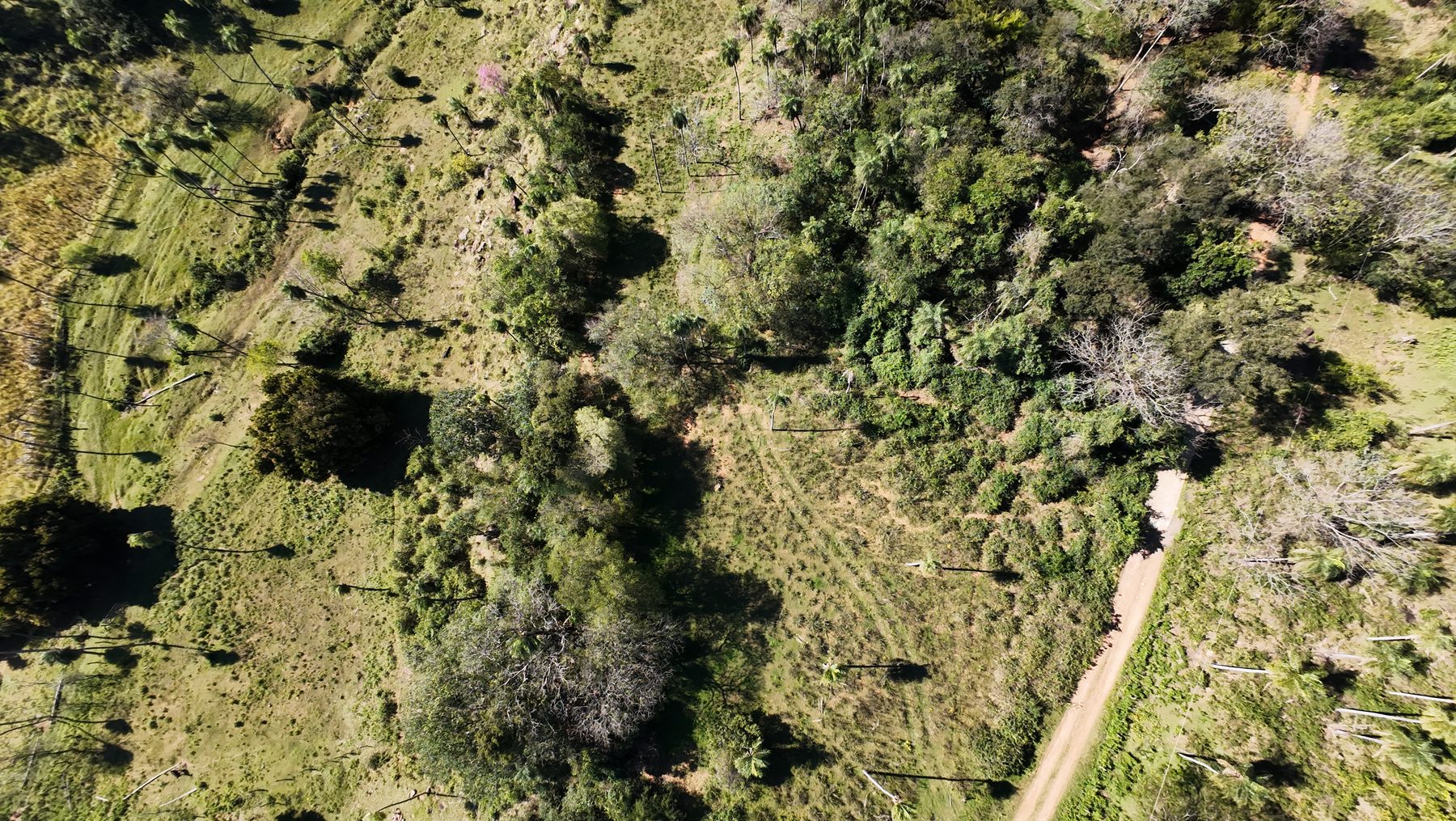 Foto con dron de una propiedad en venta en Paraguay