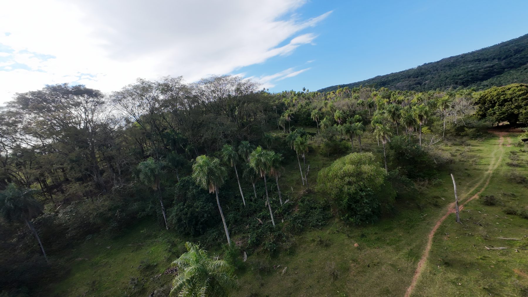 Foto con dron de una propiedad en venta en Paraguay